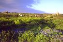 kenidjack valley, as it was